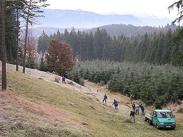 Foto: H. Hoffmann