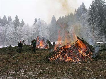 Foto: H. Hoffmann