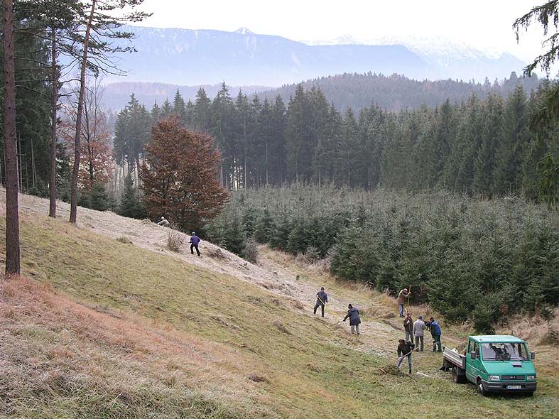Foto: H. Hoffmann